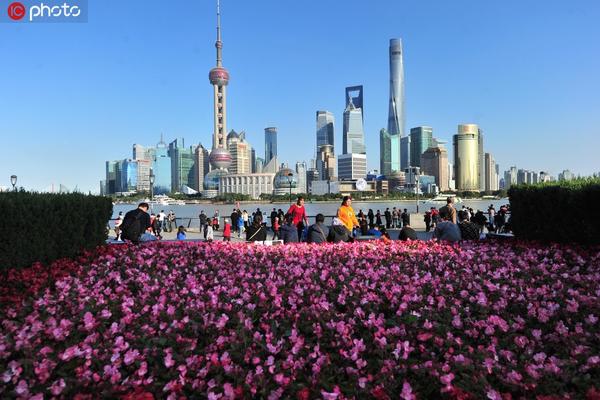 上海街头花团锦簇迎进博会 1340万盆鲜花点缀街头